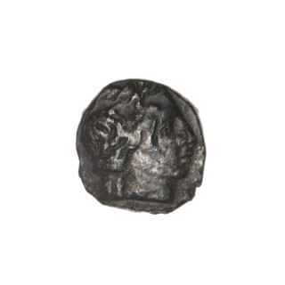 drachma, Pantikapaion, ears of corn, protoma of a griffin (iconographic), head of Apollo