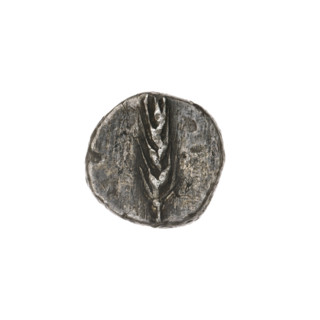 Triobol, Pantikapaion; obverse: head of Apollo in laurel wreath facing right; reverse: ear of corn