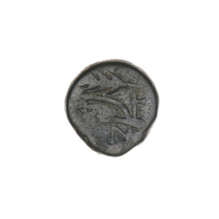 bronze coin, Pantikapaion; obverse: bull's head 3/4 to the right; reverse: plough to the left,