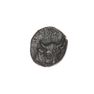 bronze coin, Pantikapaion; obverse: bull's head 3/4 right; reverse: plough left, above it ear of