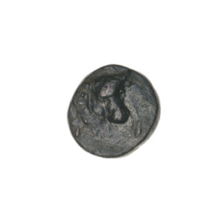 bronze coin, Pantikapaion, ears of corn, bull's head (iconographic), plows, Black Sea, bulls,