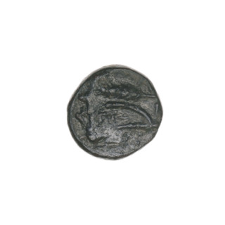 bronze coin, Pantikapaion, ears of corn, bull's head (iconographic), plows, Black Sea, bulls,