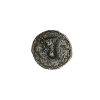 Bronze coin, Pantikapaion; obverse: bull's head 3/4 to the right; reverse: plow to the left, above