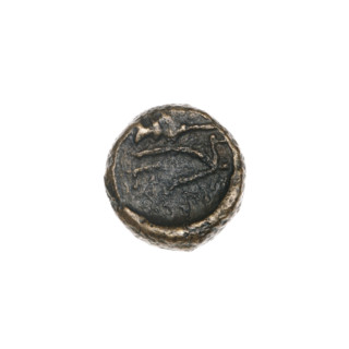 Bronze coin from Pantikapaion depicting a bull's head (three-quarters to the right) and, on the