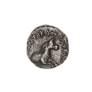 tetrobol, Pantikapaion, head of Apollo (iconographic), horse prototype (iconographic), Black Sea,