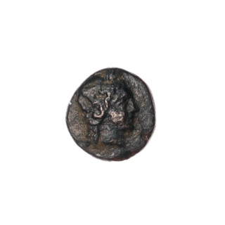 Bronze coin, Pantikapaion; obverse: head of Apollo to the right; ear of corn to the left;