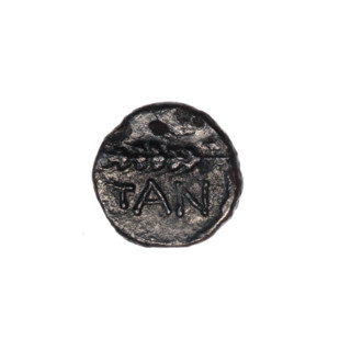bronze coin, Pantikapaion, ears of corn, head of Apollo (iconographic), Black Sea, Apollo