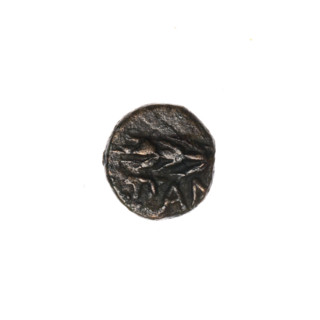 bronze coin, Pantikapaion; obverse: head of Apollo to the right; obverse: ear of corn to the left,