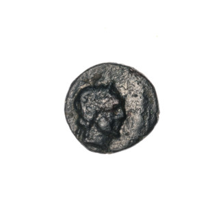 Bronze coin, Pantikapaion; obverse: head of Apollo to the right; ear of corn to the left,