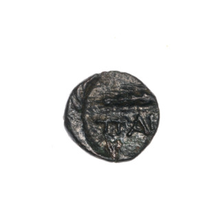 bronze coin, Pantikapaion, ears of corn, head of Apollo (iconographic), Black Sea, Apollo