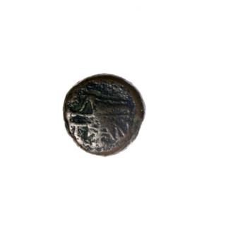 Bronze coin from Pantikapaion, 1st half of the 2nd – ca. mid-2nd century BC (Cimmerian Bosporus).