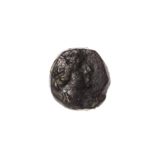 bronze coin, Pantikapaion; obverse: head of Apollo to the right; reverse: dolphin to the left,