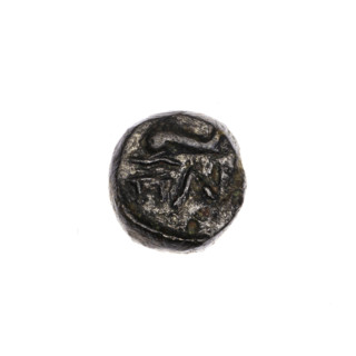 bronze coin, Pantikapaion, dolphins, head of Apollo (iconographic), Black Sea, Apollo (mythology),