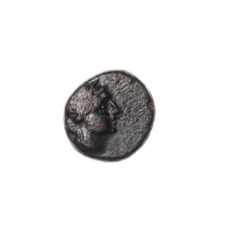 bronze coin, Pantikapaion, dolphins, head of Apollo (iconographic), Black Sea, Apollo (mythology),
