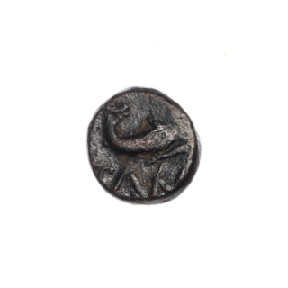 bronze coin, Pantikapaion; obverse: head of Apollo to the right; reverse: dolphin to the right,