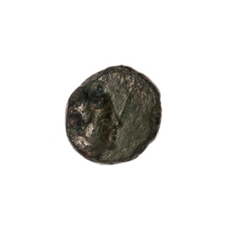 Bronze coin, Pantikapaion; obverse: head of Apollo to the right, dolphin to the left, inscription