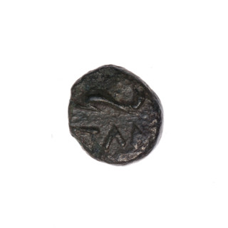Bronze coin, Pantikapaion; obverse: head of Apollo to the right, dolphin to the left, inscription