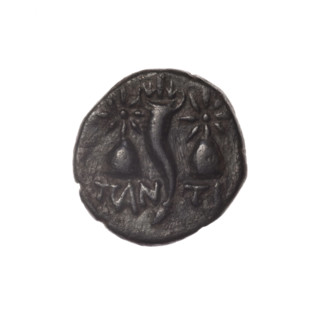 bronze coin, Pantikapaion; obverse: head of bearded Satyr in ivy wreath facing left, cornucopia,