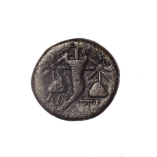 Bronze coin from Pantikapaion; obverse: head of bearded Satyr in ivy wreath facing left; reverse:
