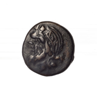 bronze coin, Pantikapaion; obverse: head of bearded Satyr in ivy wreath facing left; reverse: