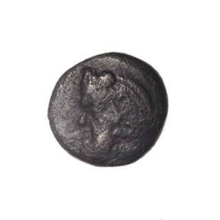bronze coin, Pantikapaion, Dioscuri caps (iconographic), Satyr's head (iconographic), Black Sea,