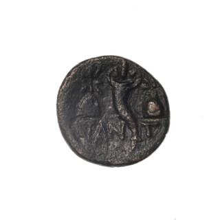 bronze coin, Pantikapaion; Dioscuri caps (iconographic); Satyr's head (iconographic); Black Sea;