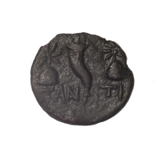 Bronze coin, Pantikapaion; obverse: head of a bearded Satyr in an ivy wreath facing left; reverse: