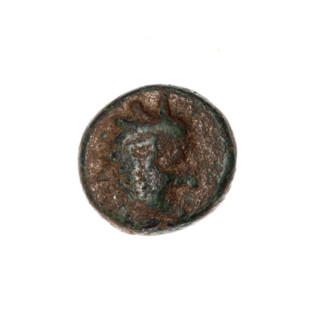 bronze coin, Pantikapaion, Dioscuri caps (iconographic), Satyr's head (iconographic), Black Sea,