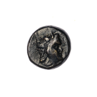 bronze coin, Pantikapaion; aw: head of a beardless Satyr in a willow wreath facing right; rw: two