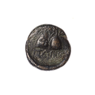 bronze coin, Pantikapaion, Dioscuri caps (iconographic), Satyr's head (iconographic), Black Sea,