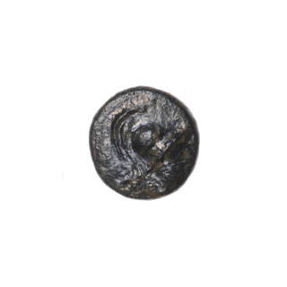 Bronze coin, Pantikapaion; obverse: head of Athena in a Corinthian helmet facing right; reverse: