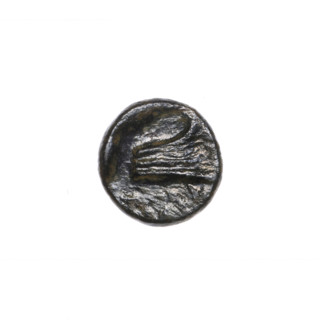 Bronze coin, Pantikapaion; obverse: head of Athena in a Corinthian helmet facing right; reverse:
