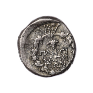 Didrachma, Pantikapaion; obverse: head of Dionysus in an ivy wreath facing right; reverse: ivy