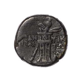 Bronze coin, Pantikapaion; obverse: head of Apollo in a laurel wreath facing right; reverse: