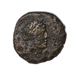 bronze coin, Pantikapaion; obverse: head of Apollo in a laurel wreath to the right; obverse:
