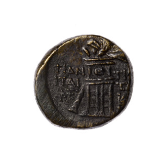 Bronze coin, Pantikapaion. Obverse: head of Apollo in a laurel wreath facing right. Reverse: