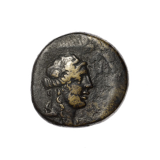 Bronze coin, Pantikapaion; obverse: head of Apollo in a laurel wreath facing right; reverse: