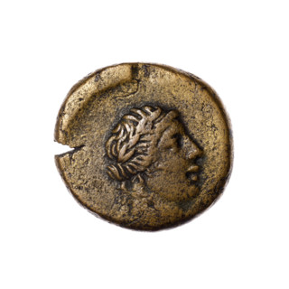 Bronze coin, Pantikapaion; obverse: head of Apollo in a laurel wreath to the right; reverse: