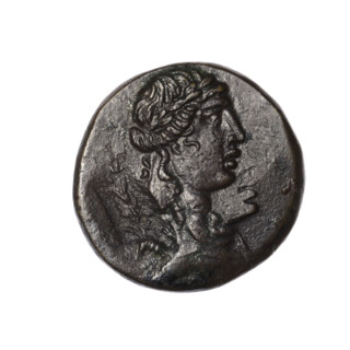 bronze coin, Pantikapaion; obverse: head of Apollo in a laurel wreath to the right, rectangular