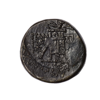 Bronze coin from Pantikapaion; obverse: head of Apollo in a laurel wreath facing right, rectangular