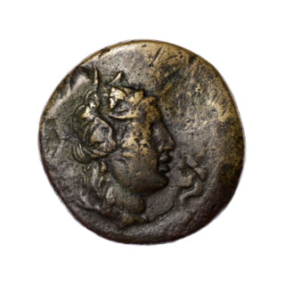 bronze coin, Pantikapaion; obverse: head of Apollo in a laurel wreath to the right; reverse: