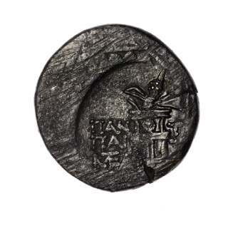 Bronze coin, Pantikapaion; obverse: head of Apollo in a laurel wreath to the right; reverse: