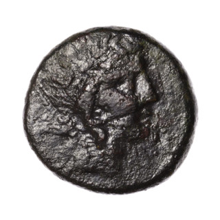 Bronze coin, Pantikapaion; obverse: head of Apollo in a laurel wreath facing right; reverse: eagle