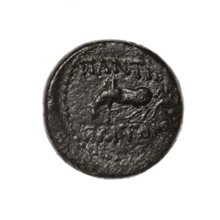 Bronze coin, Pantikapaion; obverse: head of Apollo in laurel wreath facing right; reverse: Pegasus