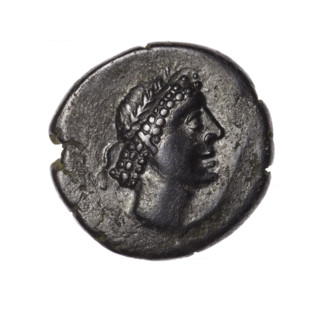bronze coin, Pantikapaion; obverse: head of Apollo in laurel wreath facing right; reverse: grazing