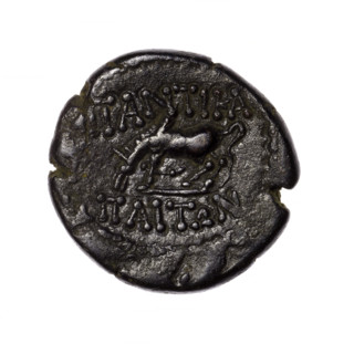 bronze coin, Pantikapaion; obverse: head of Apollo in laurel wreath facing right; reverse: grazing
