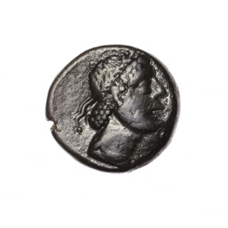 Bronze coin, Pantikapaion; obverse: head of Apollo in laurel wreath facing right; reverse: grazing