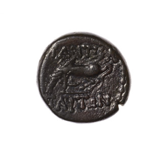 Bronze coin, Pantikapaion; obverse: head of Apollo in laurel wreath facing right; reverse: grazing