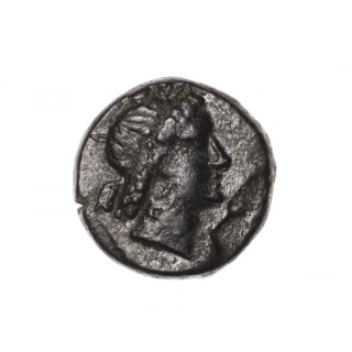 Bronze coin, Pantikapaion; obverse: head of Apollo in laurel wreath facing right; reverse: grazing