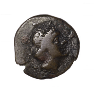 Bronze coin, Pantikapaion; obverse: head of Apollo in laurel wreath facing right; reverse: grazing